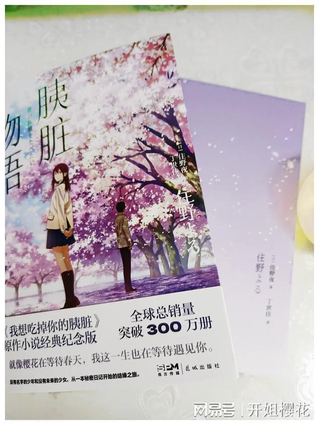 探索世界奇妙之旅,尽在装修时怎么选择材料?蜗牛问答平台